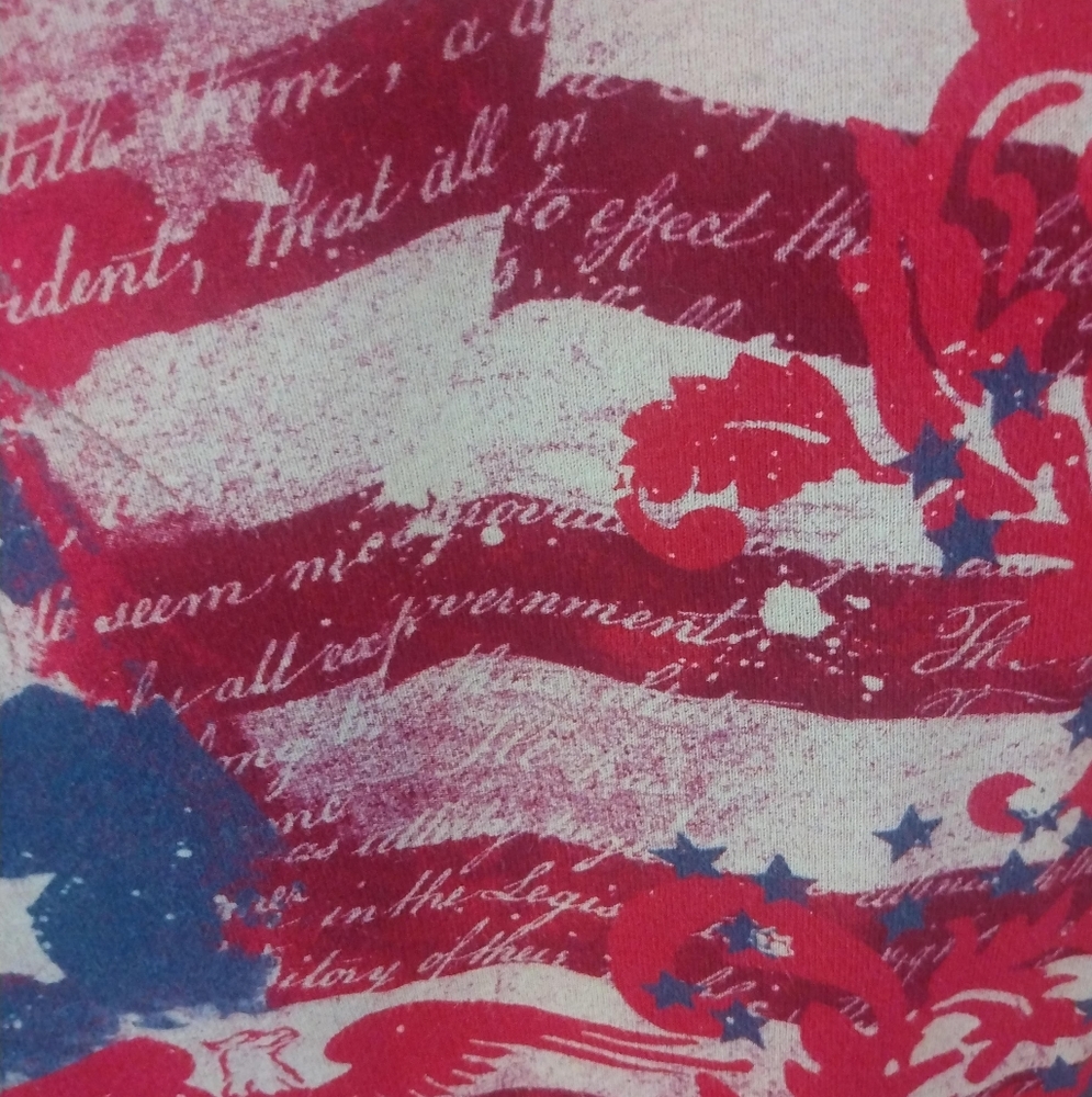 Blue Canyon Clothing Red/Blue Patrotic Tee - Picture 7 of 11